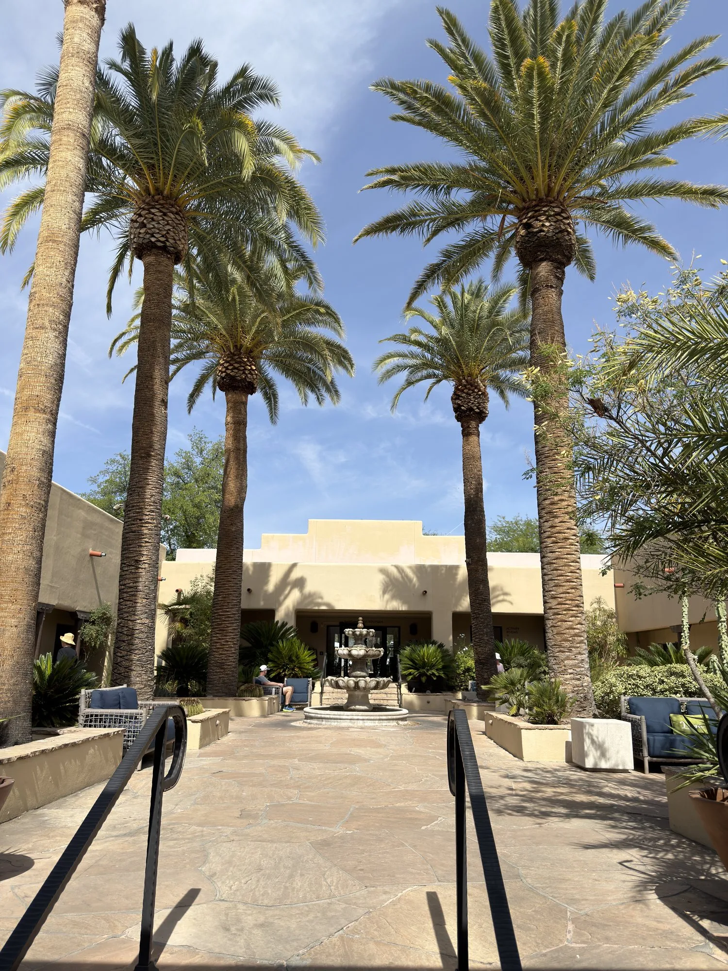 Miraval Arizona 大堂入口,高大的棕榈树与蓝天