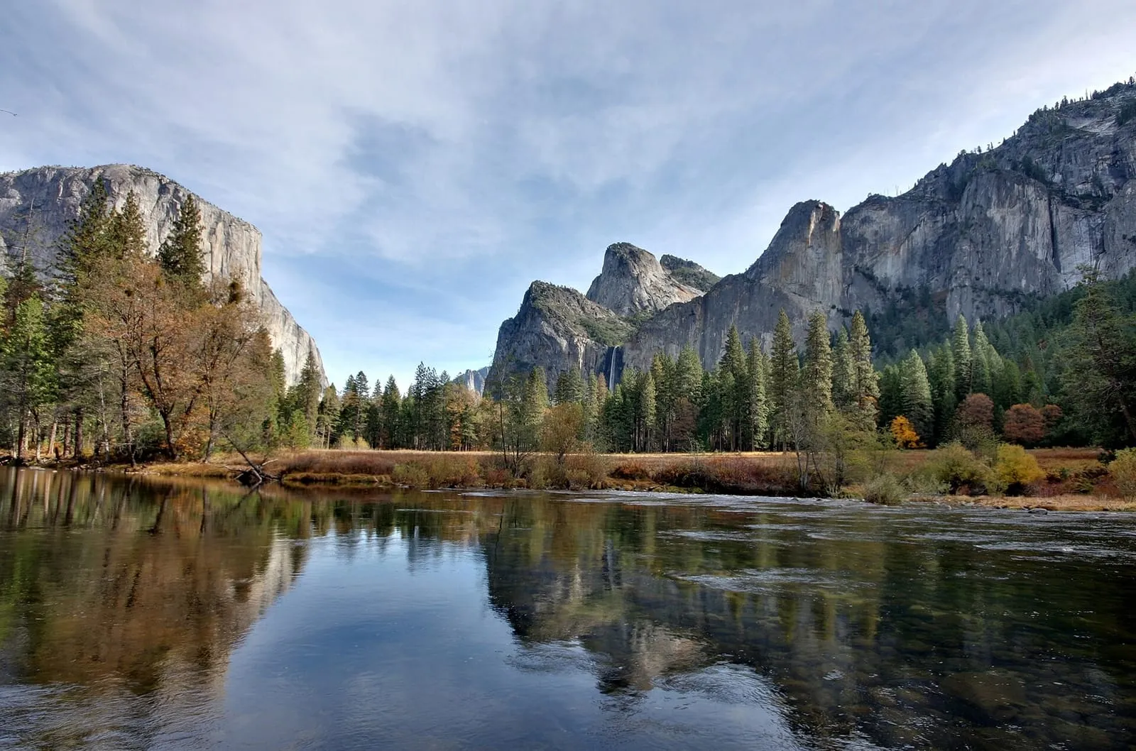 酋长岩草甸(El Capitan Meadow)