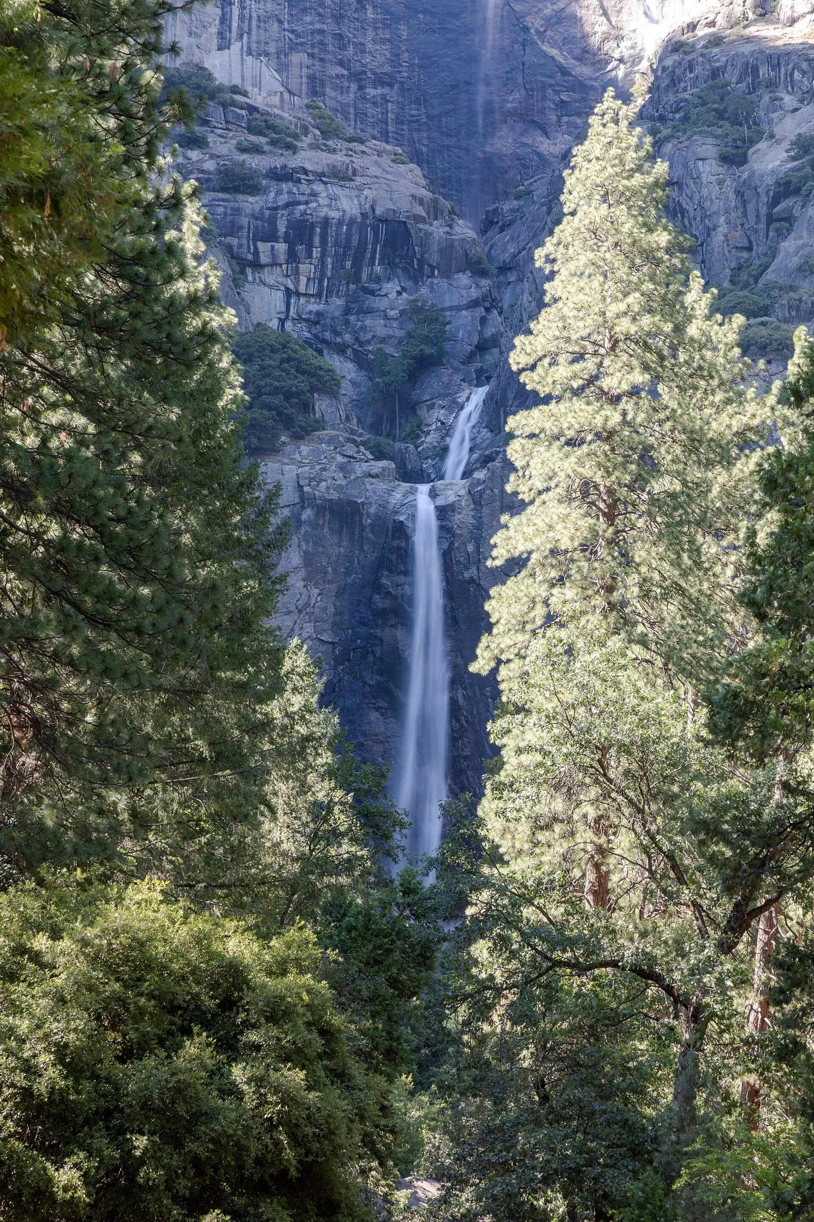 下优胜美地瀑布(Lower Yosemite Falls)